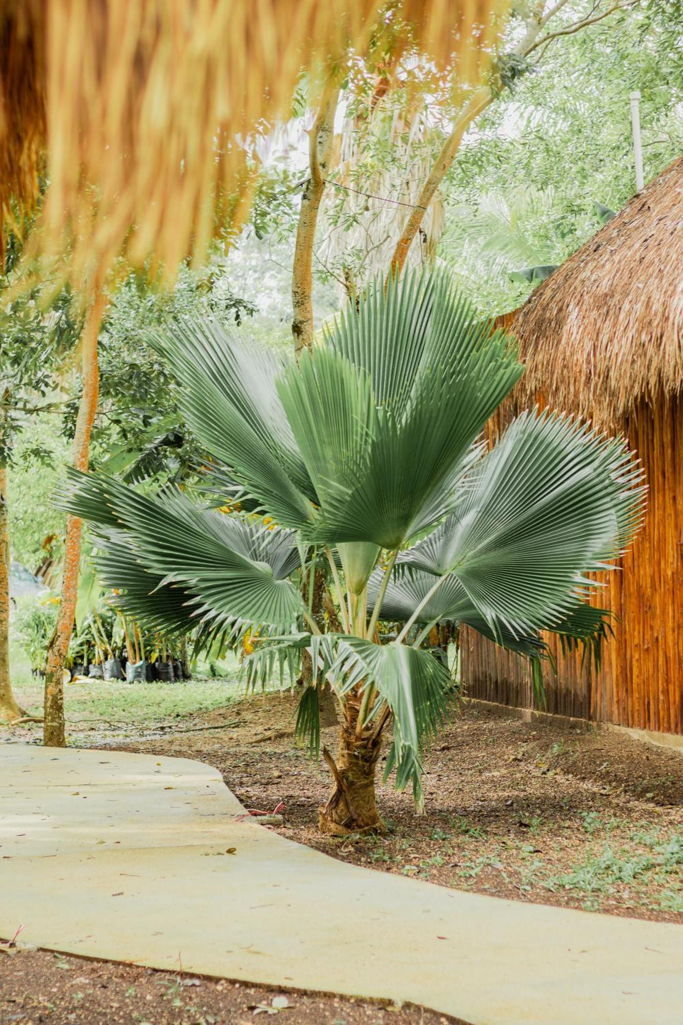 Mayan Playa Bacalar Exterior photo